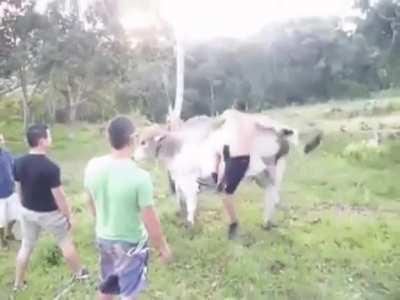 Bull wasn’t havin it