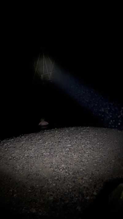 New Year’s Cold River Dip 