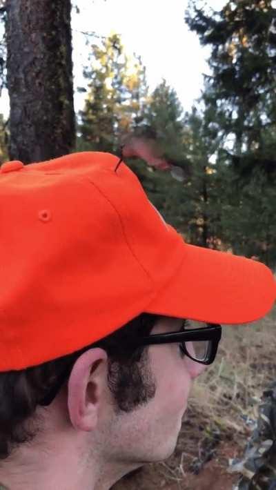 A smaller unit attempting brain scans through a hat. stay safe out there.