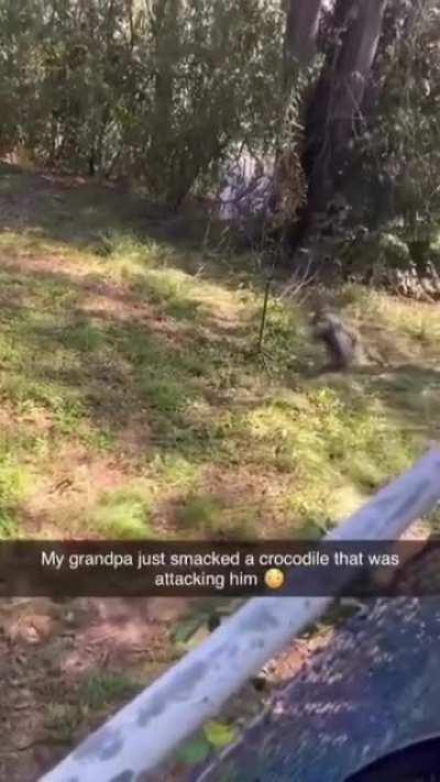 Looney Tunes Style Florida