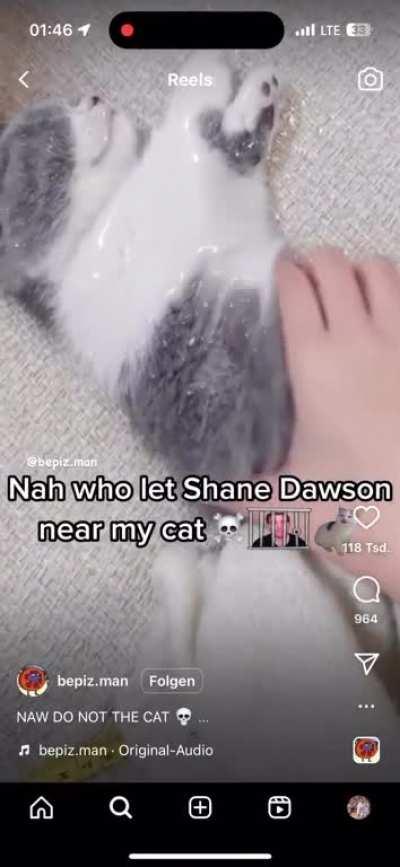 Nah man. Get this man away from my cats!!