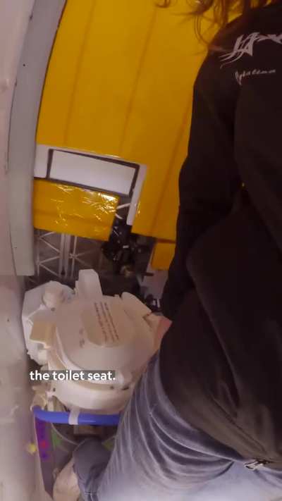 The toilet