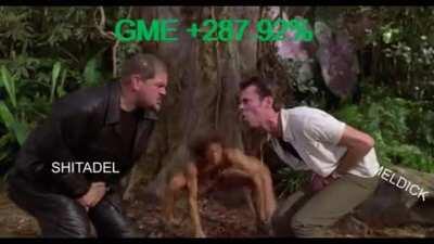 GME of the Jungle - 💎💎💎💎💎🙌🦍🚀🚀🚀🚀🚀✨