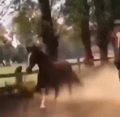 Is da forzkin eater in da hood 🥺🥺🥺