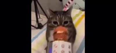 Do you think he really said this