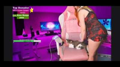 Acariciándo al gato super natural...