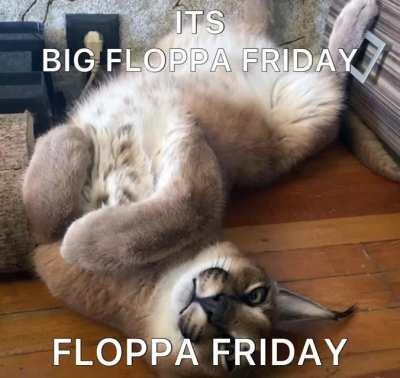 FRIDAYS ARE FOR BIG FLOPPA, NOT FEMBOYS