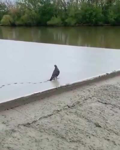 3pm Friday Afternoon.....