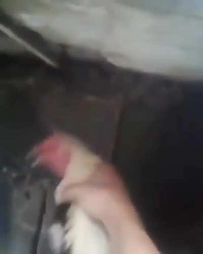 Yanık gönüller cilalı kalpler hakkı sevenler zikir edelim