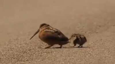 Got those funky vibezzzzz