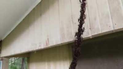 Holy nope the hell out of here.