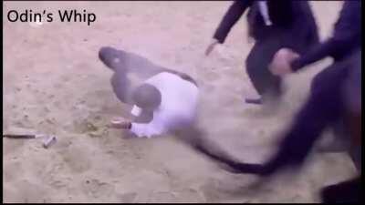 Best Camel rider in Turkey🐪🐪🇹🇳🇸🇦🇹🇳🇸🇦🇹🇳