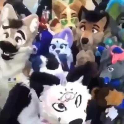 Furries bad, Minecraft good.