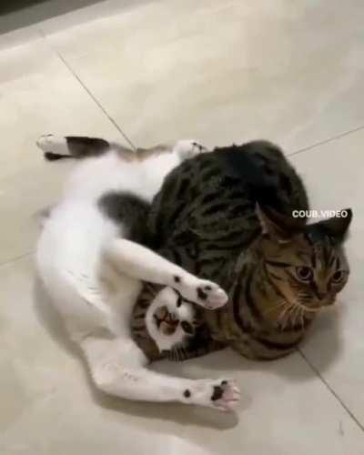 Headlock