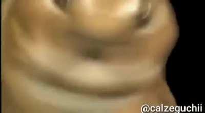 Para los Ñ posteros