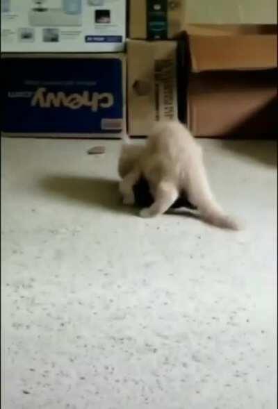 Da heck just happened