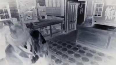 The greatest kill cam in the entire game