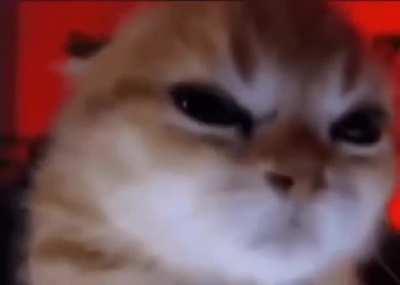 Me looking at real people in the real world (I thought they just existed in the online world)