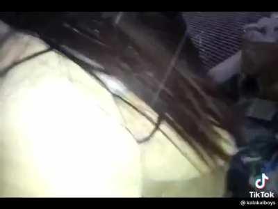 PampamilyangPaoLUL - Video #1562