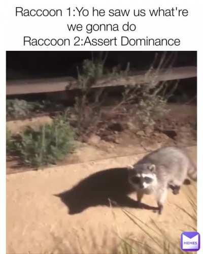 this reminds me of Jeannie