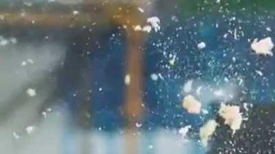 This is what happens when two apples collide at ~90 km/h(56 mph)