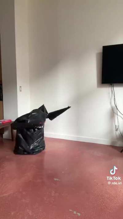 The best Zato cosplay I've ever seen