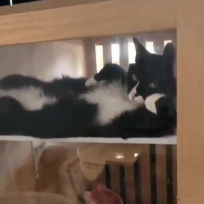 Hanging around here waiting for something to happen