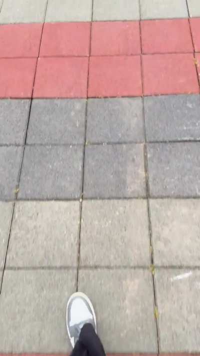 Oops poor snail 🐌