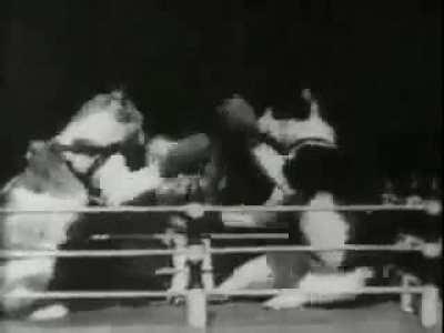 First ever cat video 