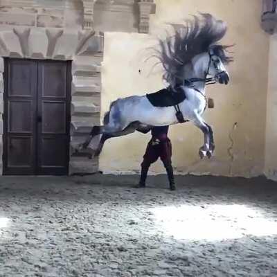 Not Human man but still