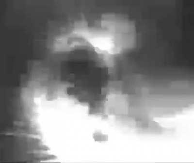 Lily every time there's a T3