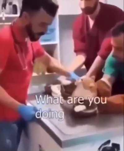 At least they were honest 