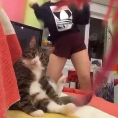 What are you doing human?