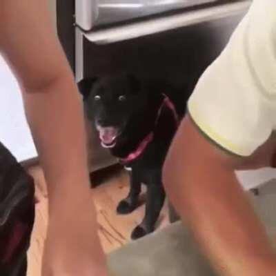 24 hours until r/pan opens for broadcasting!