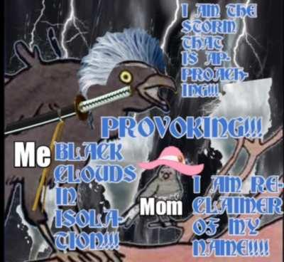 Meanwhile at my House