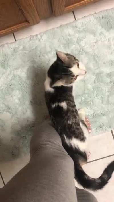 Andy yelling for pets