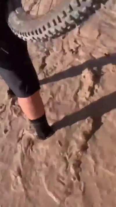 WCGW at getting stuck in the mud