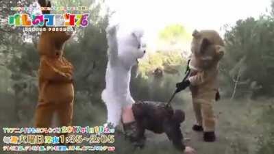 Thanks Japan for never letting me down