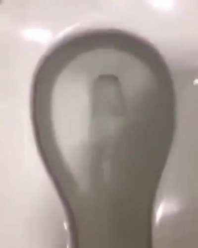 enterrei meu gato hj muca, manda um salve