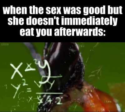 did I do something wrong..? [oc]