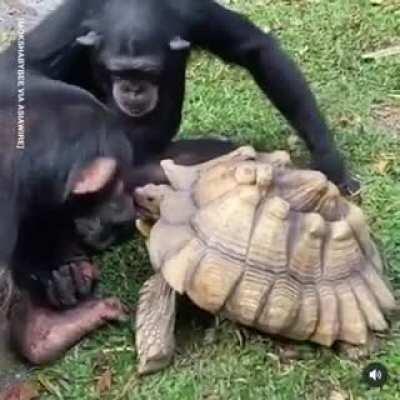 You want some bud...have it.