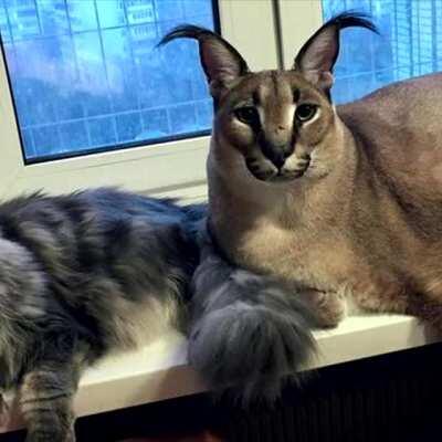 This can't be happening. This has to be a dream.