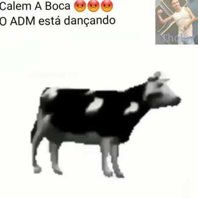 Achei vídeo do legolas não contem pra ele