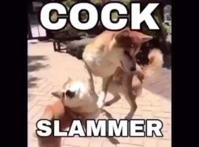 Go commit grand larceny