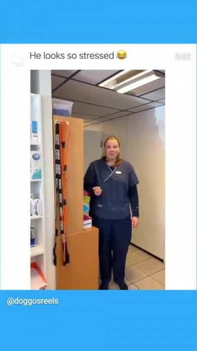 He’s doing his best