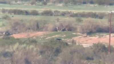 Is this a skinwalker?