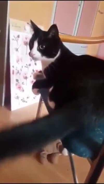 The fundamental concept of 'self versus other' is lost on this stupid fucker.