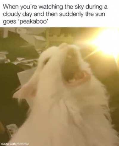 Peak-a-sun