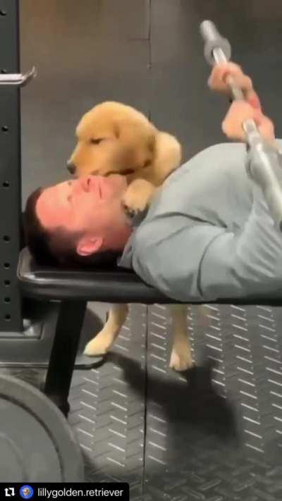 Pup shows full support