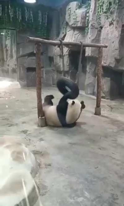 when you want to swing on a swing, and your bun is too big and does not fit